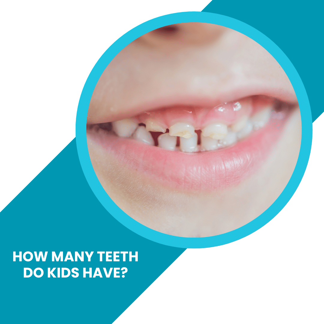 How many Teeth do Kids have? - ToothFeed