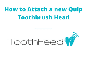 How to attach a new Quip toothbrush head