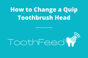 How to change a Quip toothbrush head
