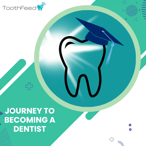 The Journey to Becoming a Dentist - Toothfeed