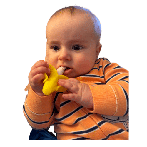 The Best Teether and Baby Toothbrush - Toothfeed